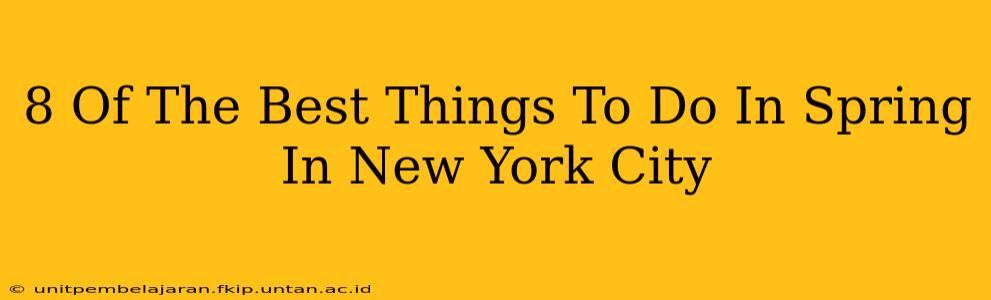 8 Of The Best Things To Do In Spring In New York City