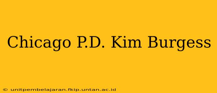 Chicago P.D. Kim Burgess