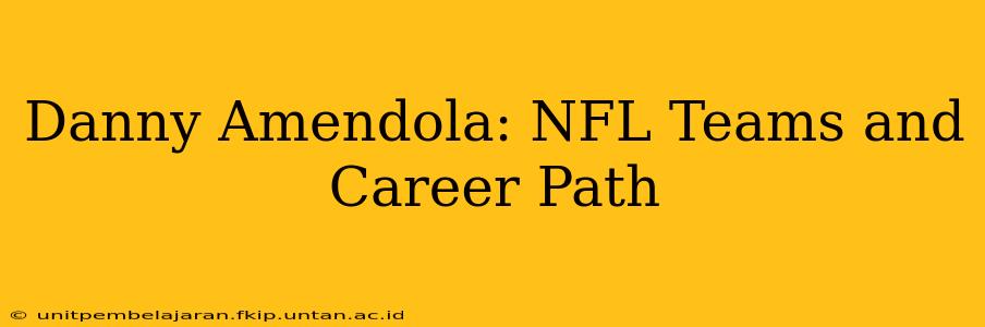 Danny Amendola: NFL Teams and Career Path