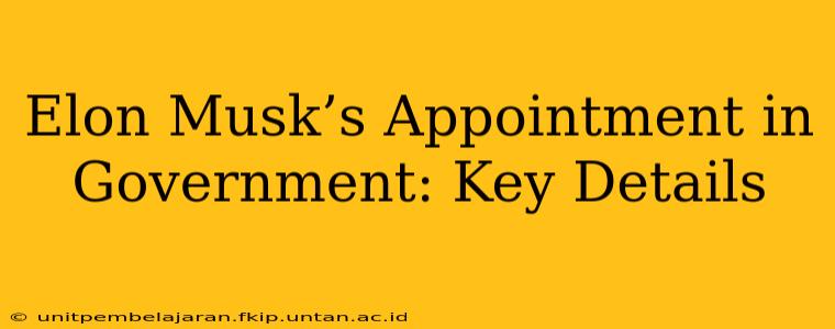 Elon Musk’s Appointment in Government: Key Details