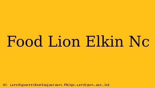 Food Lion Elkin Nc