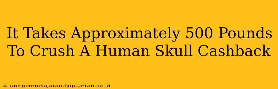 It Takes Approximately 500 Pounds To Crush A Human Skull Cashback