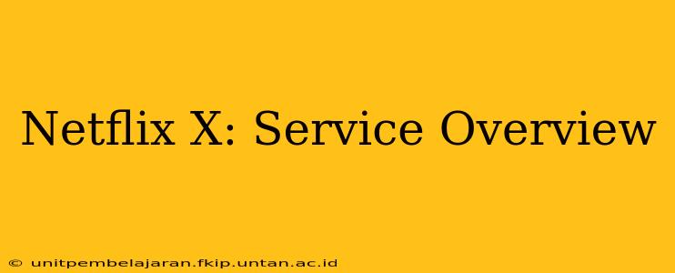 Netflix X: Service Overview