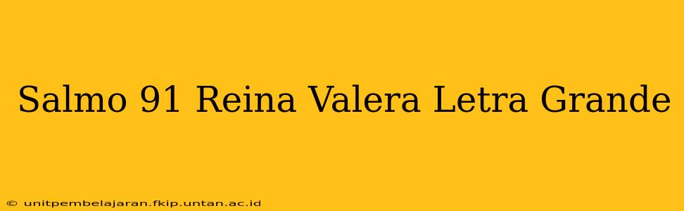 Salmo 91 Reina Valera Letra Grande