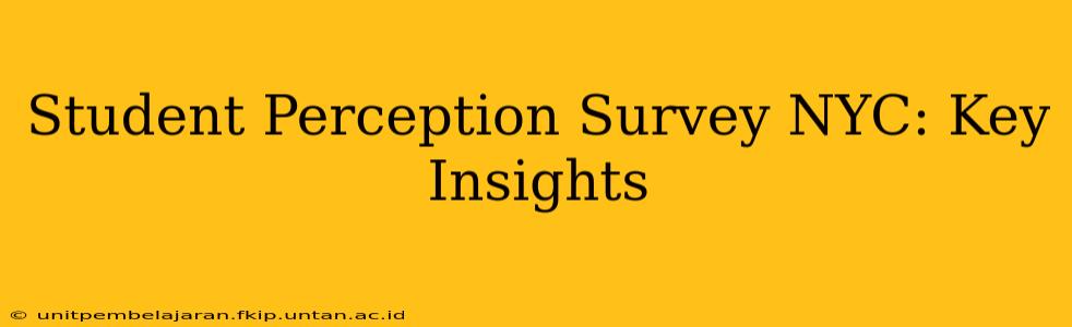 Student Perception Survey NYC: Key Insights