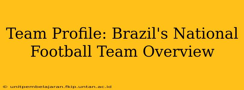 Team Profile: Brazil's National Football Team Overview