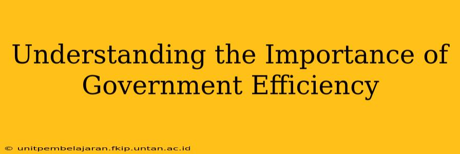 Understanding the Importance of Government Efficiency