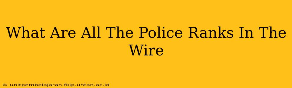 What Are All The Police Ranks In The Wire