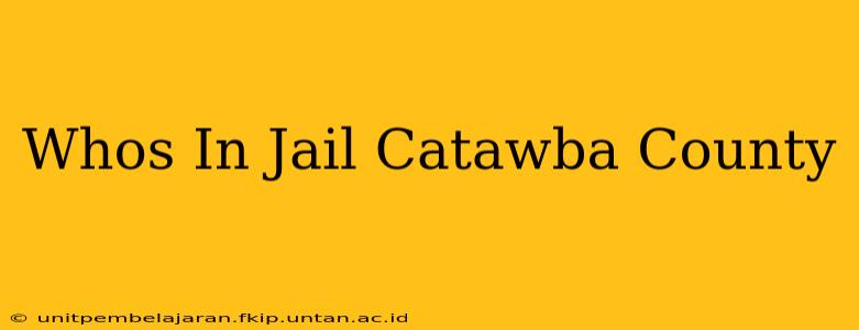 Whos In Jail Catawba County